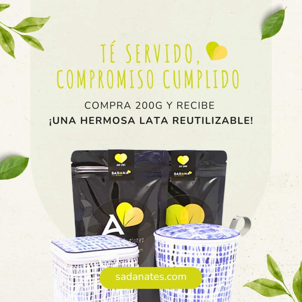 Nancy_Cortes_Publicacion_2_-_Sobre_nosotros_2